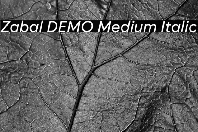 Zabal DEMO Medium Italic Schriftart examples