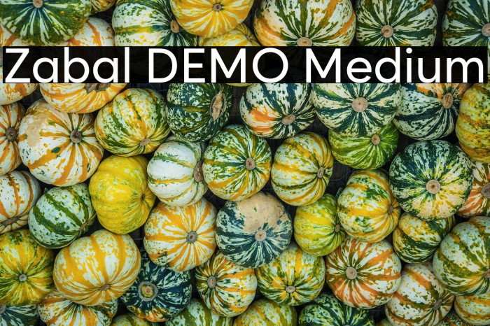 Zabal DEMO Medium Example 2