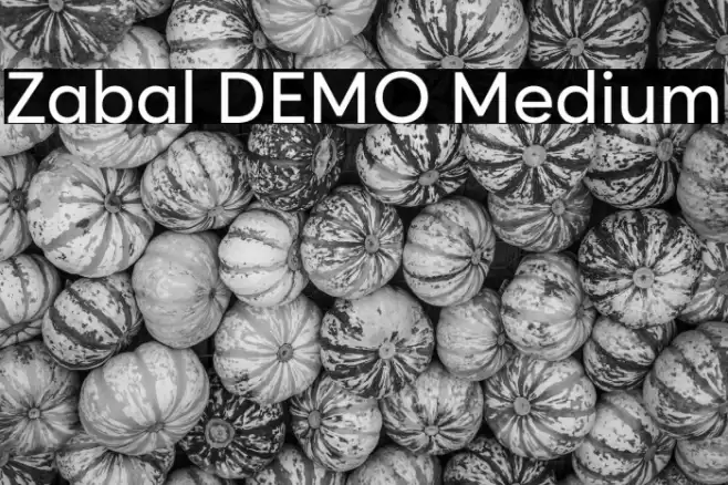 Zabal DEMO Medium Font examples
