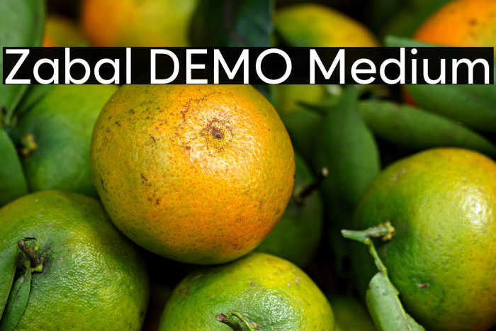 Zabal DEMO Medium Example 3
