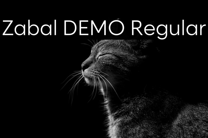 Zabal DEMO Regular Example 3