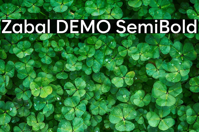 Zabal DEMO SemiBold Example 2