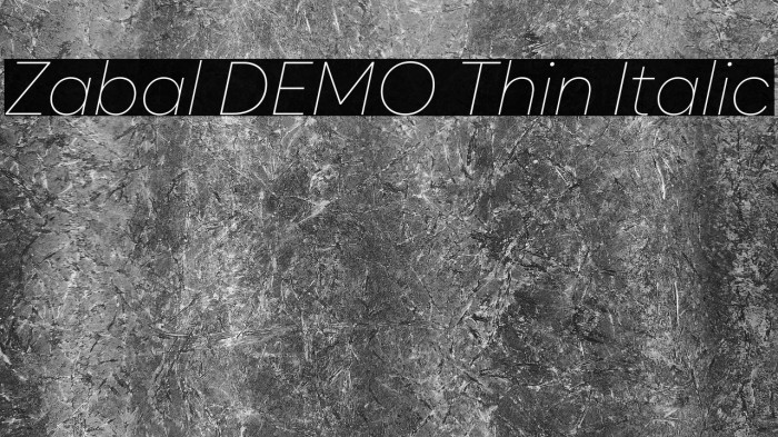 Zabal DEMO Thin Italic Example 1