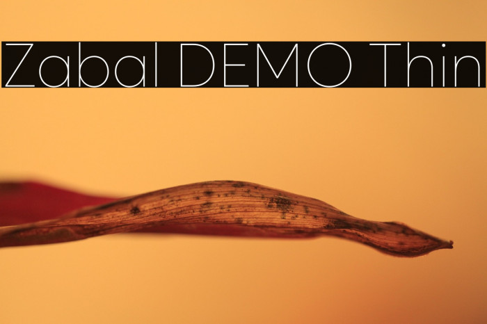 Zabal DEMO Thin Example 1