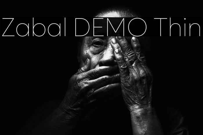 Zabal DEMO Thin Example 3