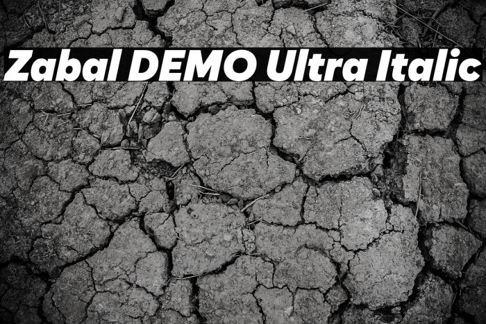 Zabal DEMO Ultra Italic Example 1