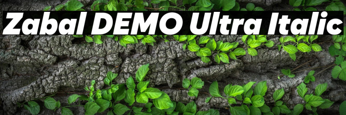Zabal DEMO Ultra Italic Example 3