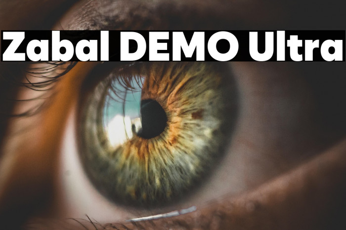 Zabal DEMO Ultra Example 1