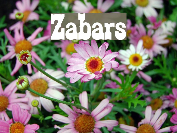 Zabars फ़ॉन्ट examples