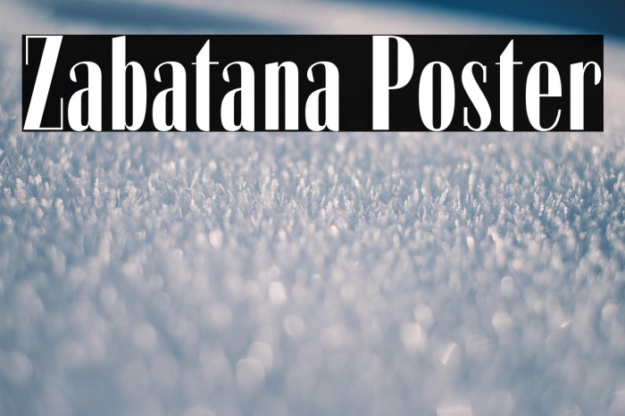 Zabatana Poster Example 2