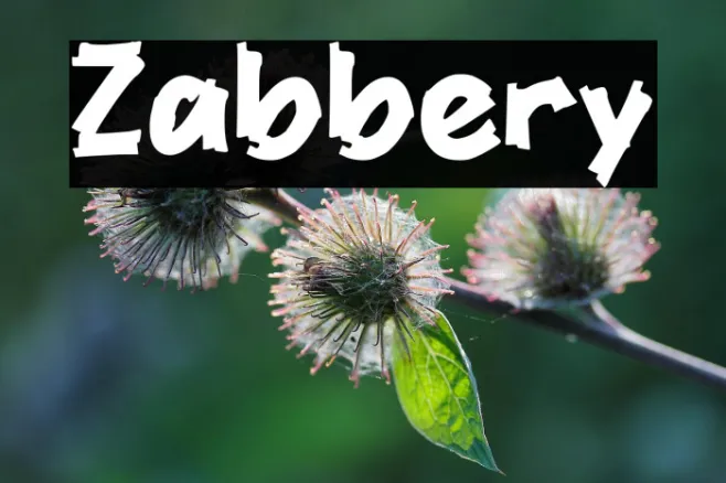 Zabbery Example 2