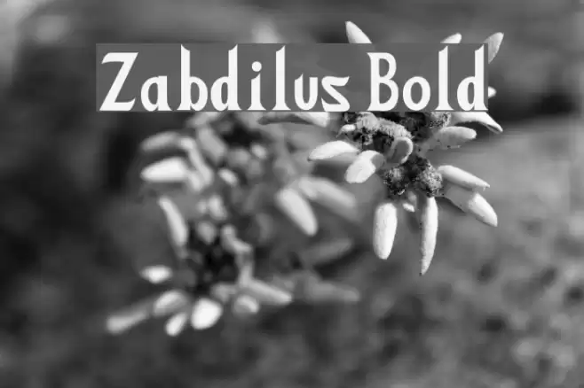 Zabdilus Bold Font examples