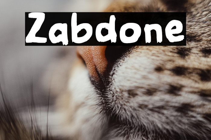 Zabdone Example 3