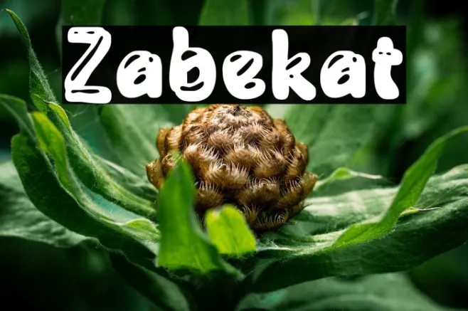 Zabekat Example 1