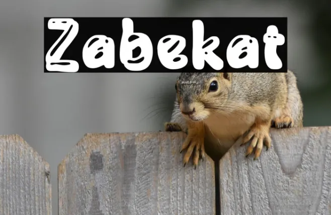 Zabekat Example 2