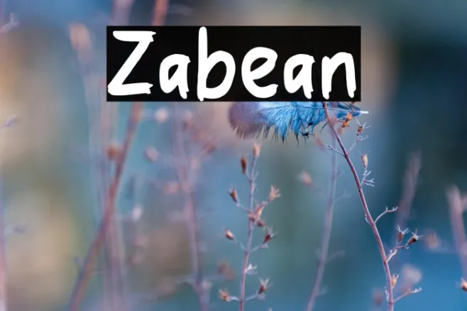 Zabelan Example 1