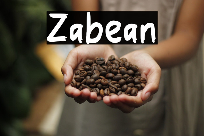 Zabelan Example 2