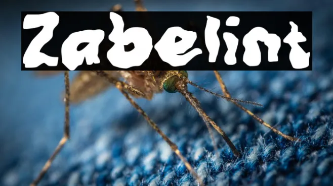Zabelint Example 1