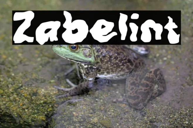 Zabelint Example 2