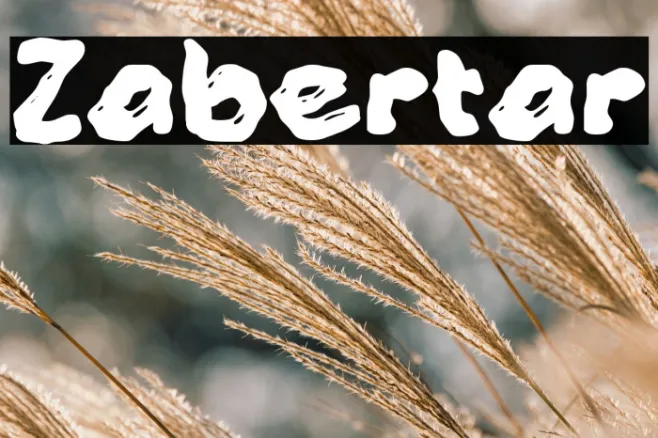 Zabertar Example 2