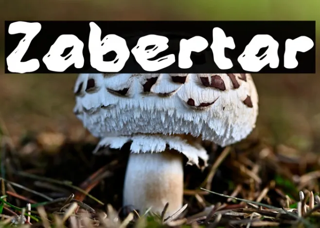 Zabertar Example 3