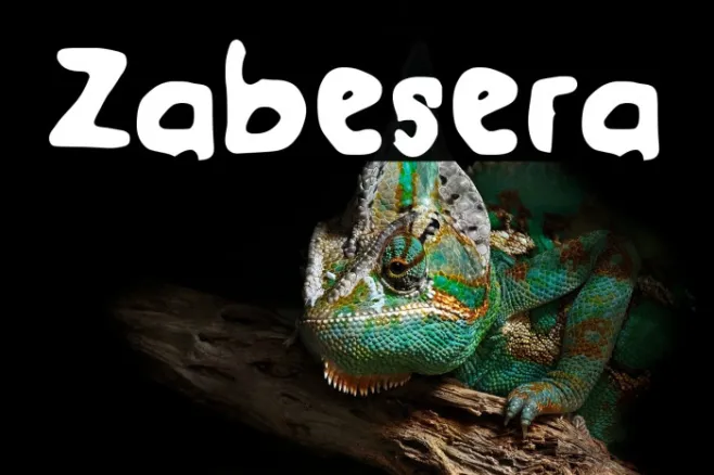 Zabesera Example 3