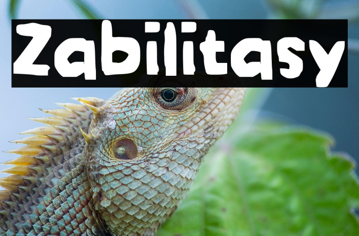 Zabilitasy Example 2