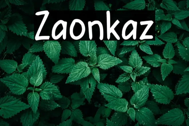 Zabonkaz Example 1