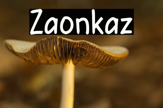 Zabonkaz Example 2