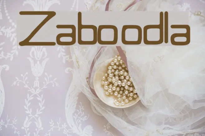 Zaboodla Example 1