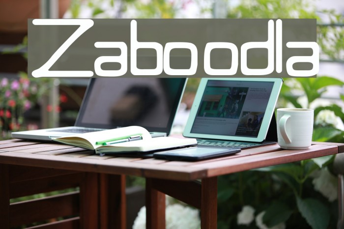 Zaboodla Font examples