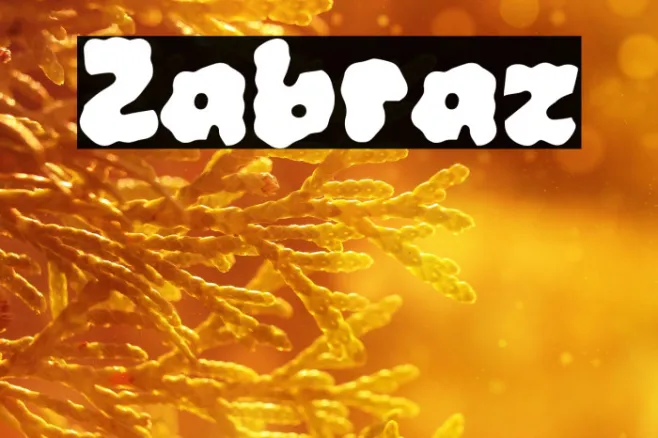 Zabraz Example 1