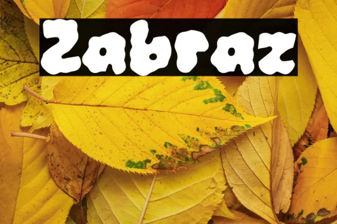 Zabraz Example 2