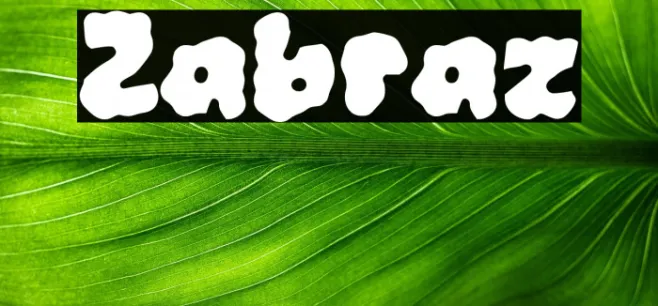 Zabraz Example 3