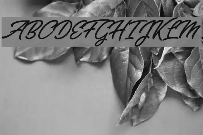 Zabritzkyes Personal Use Font examples