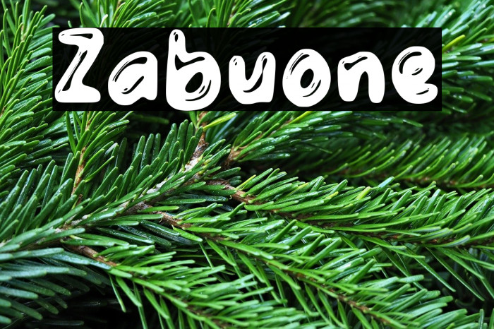 Zabuone Example 1