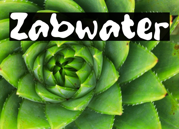 Zabwater Example 2