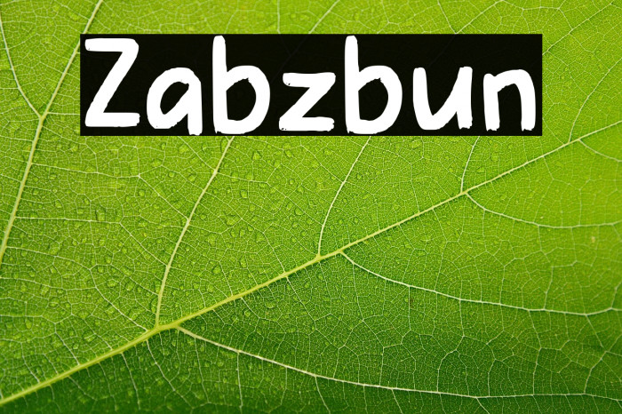 Zabzibun Example 2
