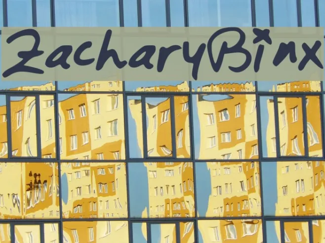 ZacharyBinx Example 1