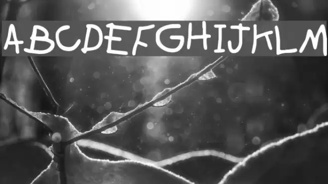 Zachary Font examples