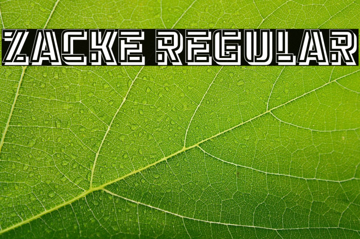 Zacke Regular Example 2