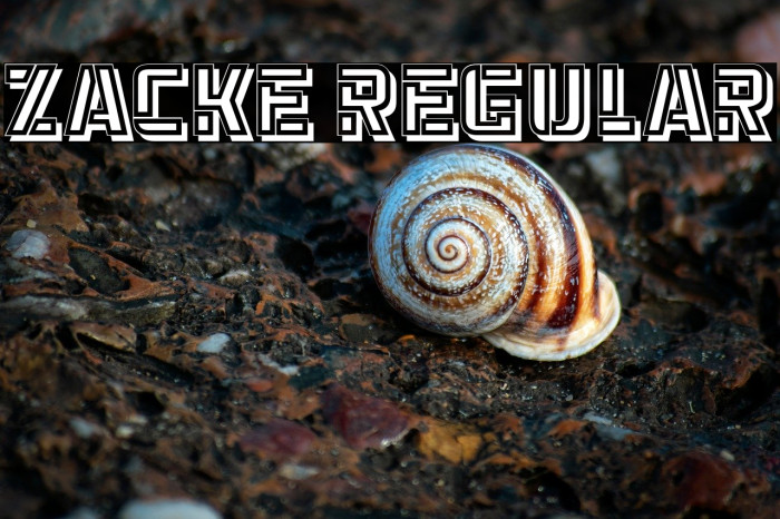 Zacke Regular Example 3