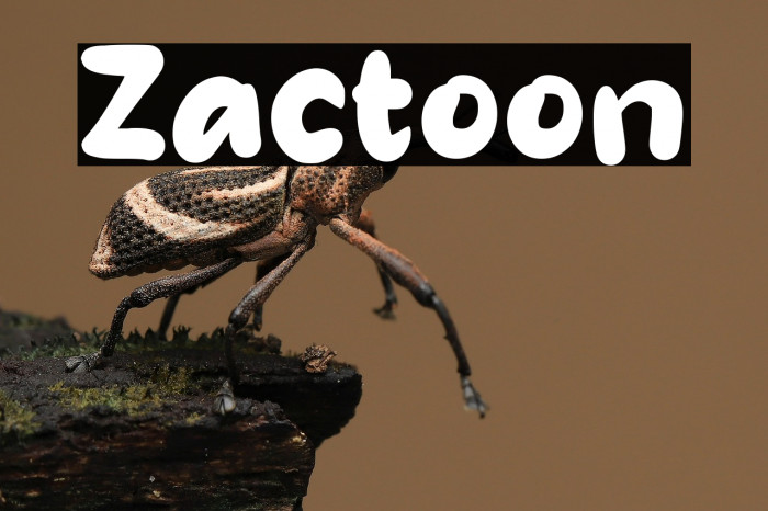 Zactoon Example 1