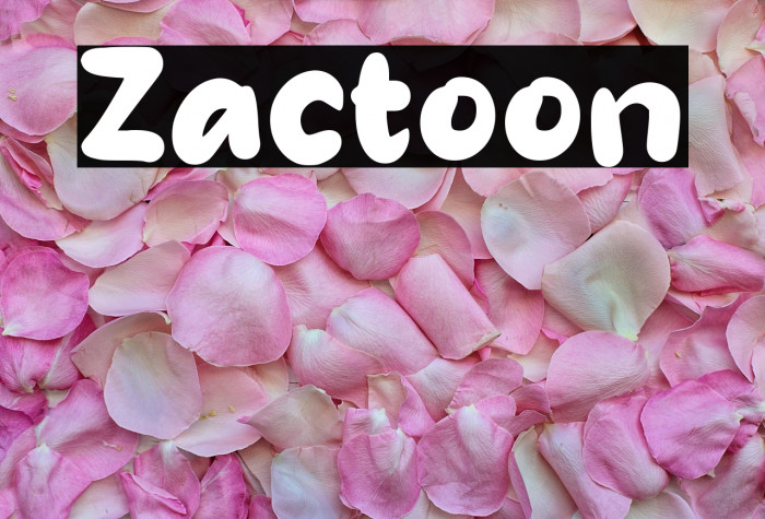 Zactoon Example 2