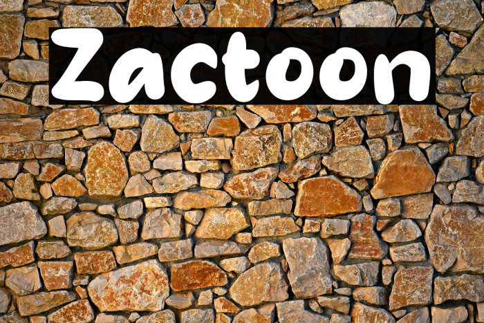 Zactoon Example 3