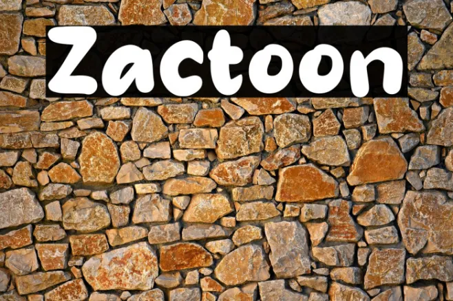 Zactoon Example 3