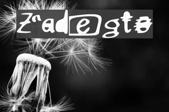 Zadegto Font examples