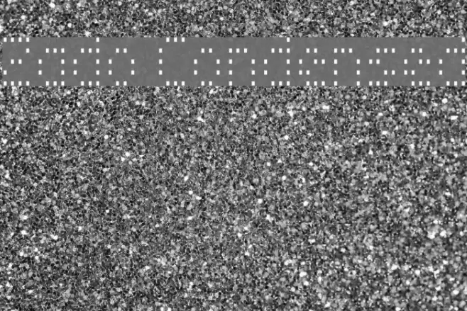 Zado Condensed Font examples