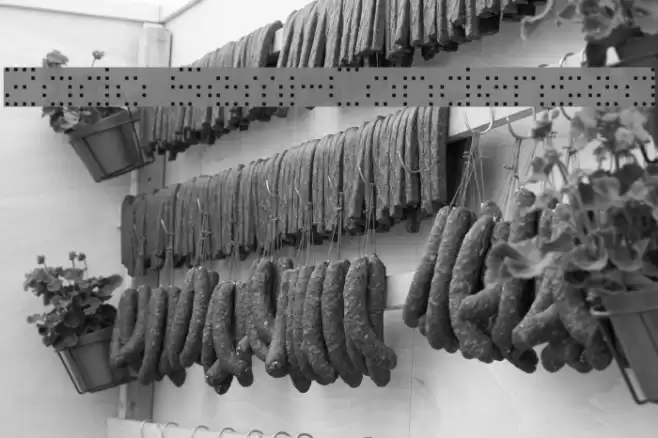 Zado Semi-Condensed Font examples