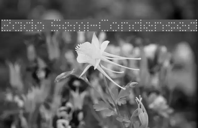 Zado Semi-Condensed Font examples